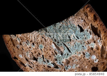 The old mold on the rye bread side view. Spoiled food 85854940