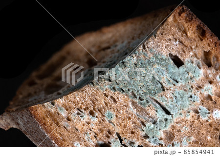The old mold on the rye bread perspective view spoiled food 85854941