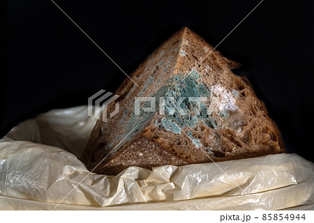 The old mold on the rye bread in trash can. Spoiled food thrown into the bucket 85854944
