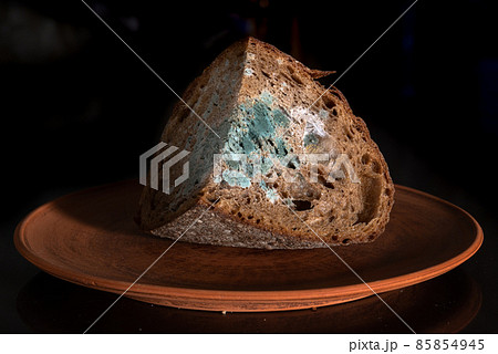 The old mold on the rye bread. Spoiled food on ceramic plate 85854945