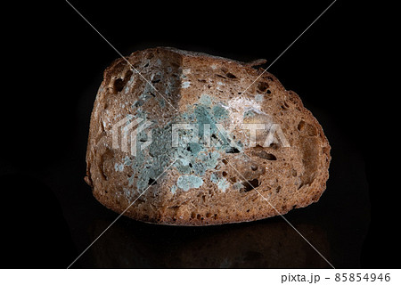 The old mold on the rye bread. Spoiled food 85854946
