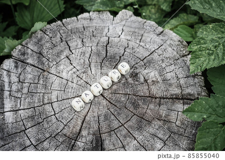 Word nature of wooden alphabet beads on a tree stump surface in the forest. Word nature of wooden alphabet beads on a tree stump surface in the forest. 85855040