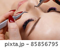 Eyelash Extension Procedure. Woman Eye with Long Blue Eyelashes. Ombre effect. Close up, selective focus. 85856795
