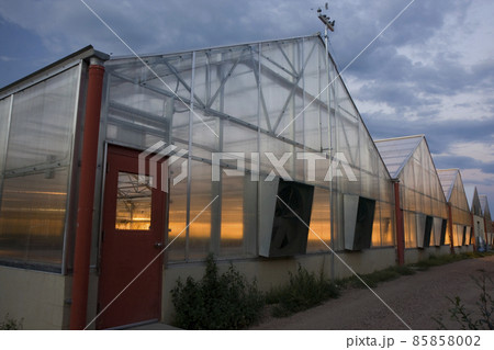 greenhouses with lights on at dusk greenhouses with lights on at dusk 85858002