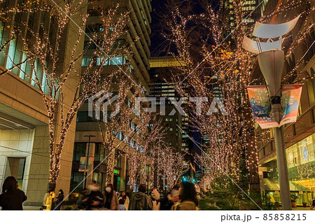 東京 丸の内仲通りのイルミネーション 東京 丸の内仲通りのイルミネーション 85858215