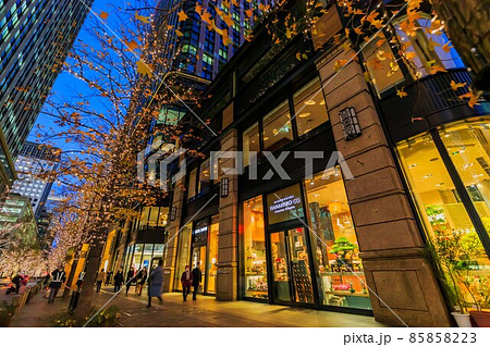 東京 丸の内仲通りのイルミネーション 東京 丸の内仲通りのイルミネーション 85858223