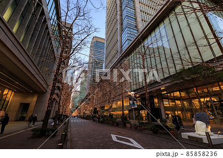 東京 丸の内仲通りのイルミネーション 東京 丸の内仲通りのイルミネーション 85858236