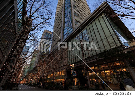 東京 丸の内仲通りのイルミネーション 東京 丸の内仲通りのイルミネーション 85858238