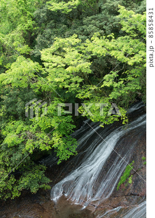 新緑と布の滝 85858431