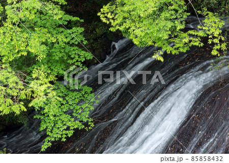 新緑と布の滝のアップ 新緑と布の滝のアップ 85858432