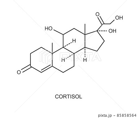 Cortisol hormone icon. Hydrocortisone chemical molecular structure isolated on white background. Vector outline illustration 85858564