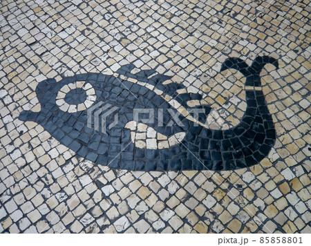 マカオの石畳・カルサーダス(魚) マカオの石畳・カルサーダス(魚) 85858801