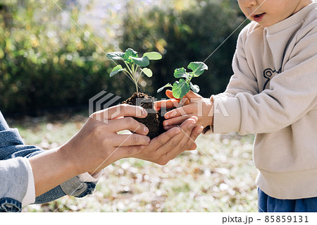 SDGs・環境・持続可能性イメージ SDGs・環境・持続可能性イメージ 85859131