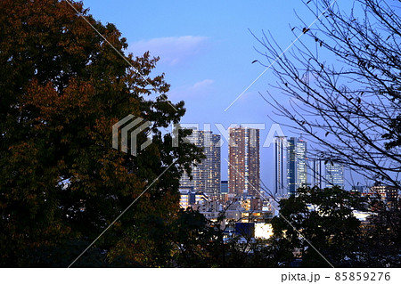 武蔵小杉高層ビル群　夜景　日吉公園より 85859276
