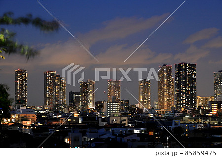 武蔵小杉高層ビル群　夜景　日吉公園より 85859475