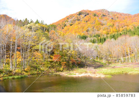 奥裾花自然園の秋景色 85859783