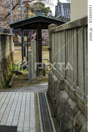 尾道観光寺社巡りの細道からの宝土寺 屋根の猫 尾道観光寺社巡りの細道からの宝土寺 屋根の猫 85860041