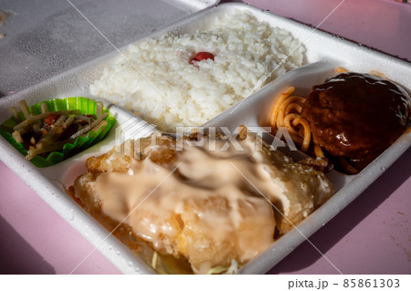 とても美味しい日本の高知のチキンナンバン弁当 85861303