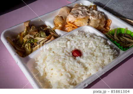 とても美味しい日本の高知のチキンナンバン弁当 85861304