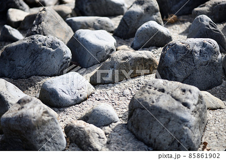 渇水期の川と生態系保全ブロック 85861902