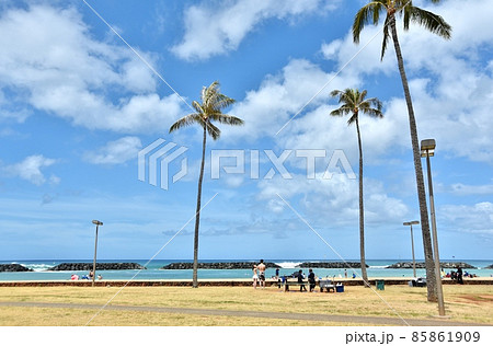 ハワイの休日 ハワイの休日 85861909