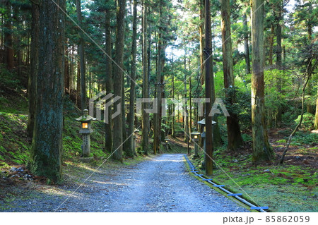 比叡山延暦寺　参詣道 85862059