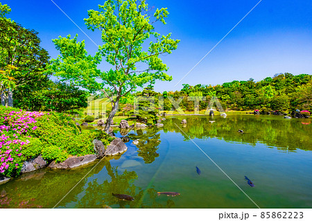 万博公園 日本庭園の新緑 万博公園 日本庭園の新緑 85862223