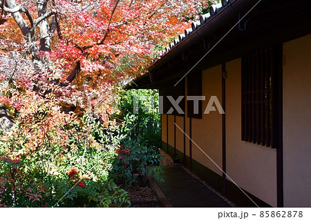 紅葉真っ盛り 秋の丈山苑 詩泉閣 紅葉真っ盛り 秋の丈山苑 詩泉閣 85862878