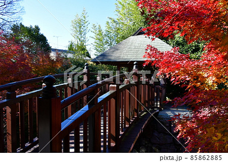 紅葉真っ盛り　秋の丈山苑　詩泉閣 85862885