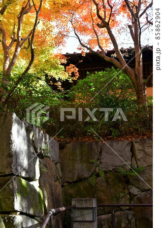 紅葉真っ盛り　秋の丈山苑　詩泉閣 85862904