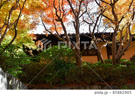 紅葉真っ盛り　秋の丈山苑　詩泉閣 85862905