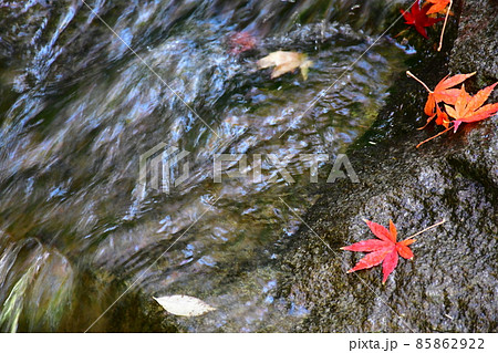 紅葉真っ盛り　秋の丈山苑　詩泉閣 85862922