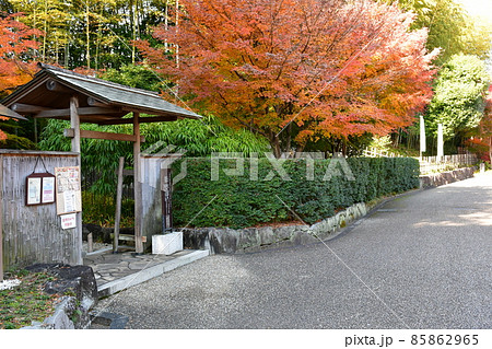 紅葉真っ盛り　秋の丈山苑　詩泉閣 85862965