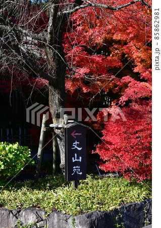 紅葉真っ盛り　秋の丈山苑　詩泉閣 85862981