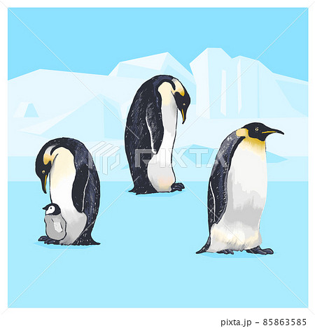 コウテイペンギン　手描きイラスト　セット 85863585