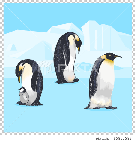 コウテイペンギン　手描きイラスト　セット 85863585