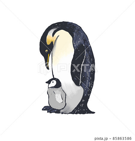 コウテイペンギンの親子　手描きイラスト 85863586