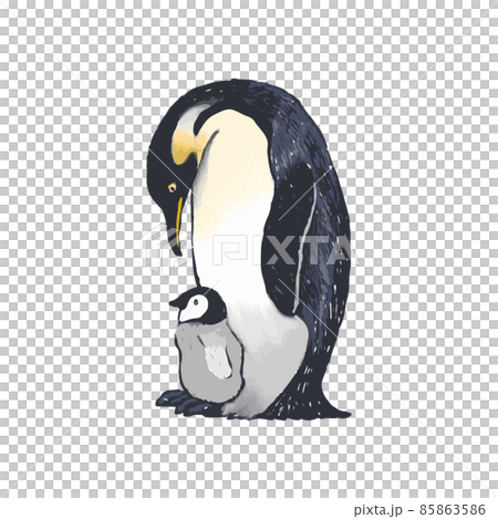 コウテイペンギンの親子　手描きイラスト 85863586