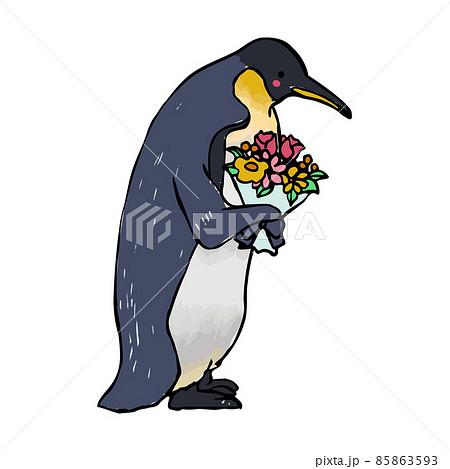 コウテイペンギン 手描きイラスト 花束 コウテイペンギン 手描きイラスト 花束 85863593