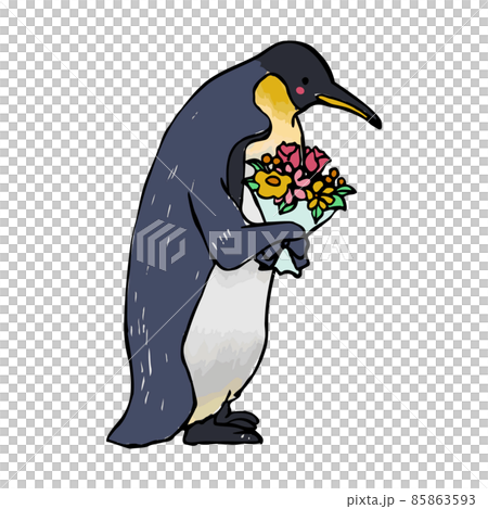コウテイペンギン 手描きイラスト 花束 コウテイペンギン 手描きイラスト 花束 85863593