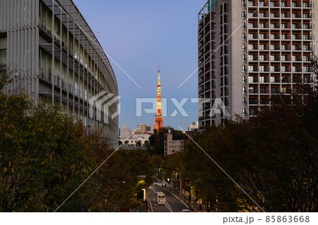 東京都港区六本木　けやき坂通りの冬のイルミネーション 85863668