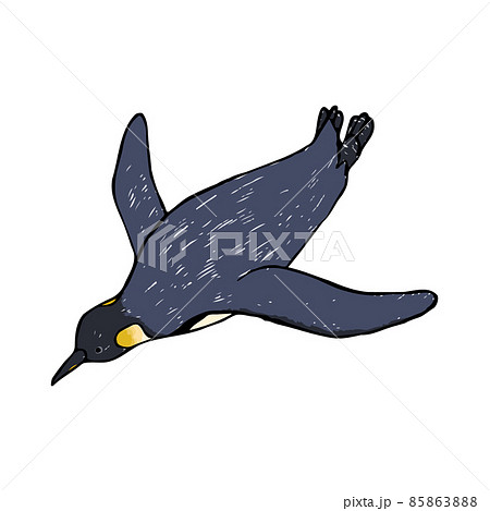 泳ぐコウテイペンギン 手描きイラスト 泳ぐコウテイペンギン 手描きイラスト 85863888