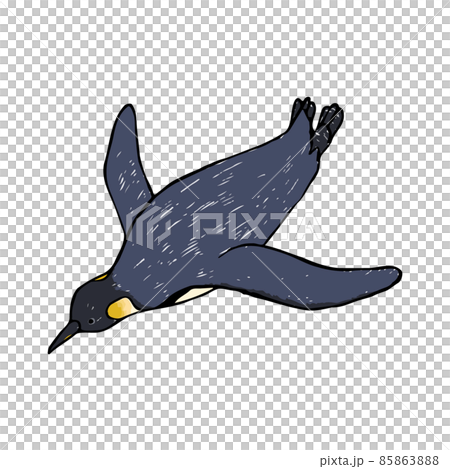 游泳帝企鵝手繪插畫 85863888