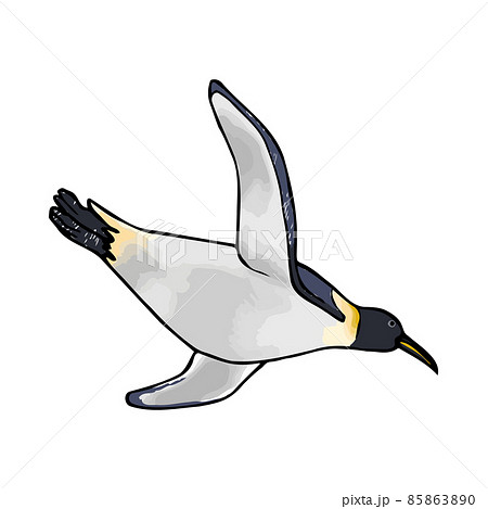 泳ぐコウテイペンギン　手描きイラスト 85863890