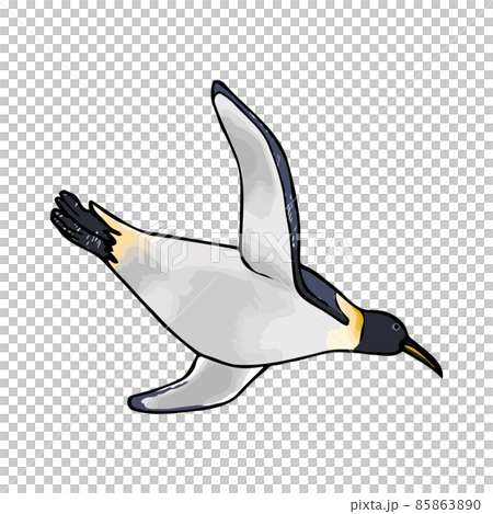 游泳帝企鵝手繪插畫 85863890