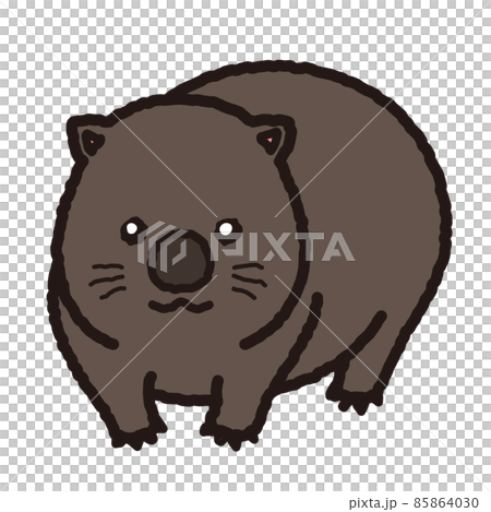 澳大利亞袋熊圖 澳大利亞袋熊圖 85864030