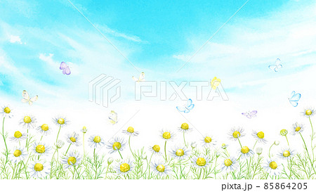 蝶が飛ぶ花畑の風景　水彩イラスト 85864205