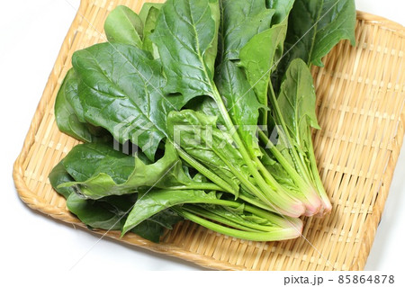 新鮮なほうれん草、ザル盛り、白バック 新鮮なほうれん草、ザル盛り、白バック 85864878