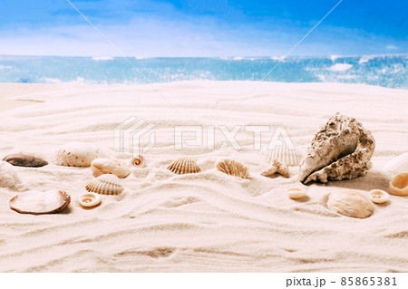 Sea exotic seashells molluscs seashells white beach sand. Summer vacation travel concept. Postcard template copy space Sea exotic seashells molluscs seashells white beach sand. Summer vacation travel concept. Postcard template copy space 85865381