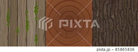Wooden textures of cut tree trunk, bark and boards Wooden textures of cut tree trunk, bark and boards 85865836